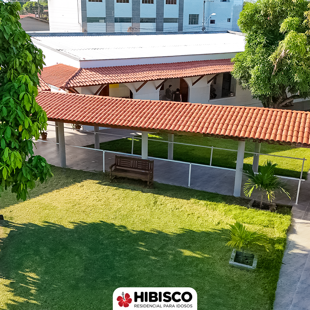 hibisco-02